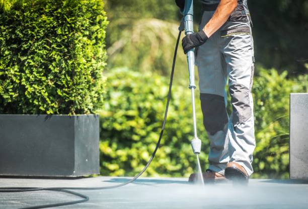 Best Fence Cleaning  in Cheswold, DE