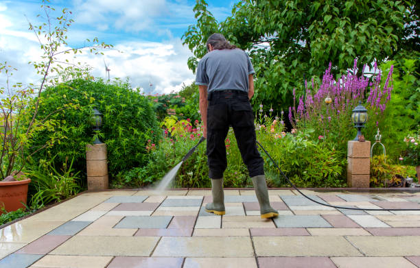 Best Driveway Pressure Washing  in Cheswold, DE