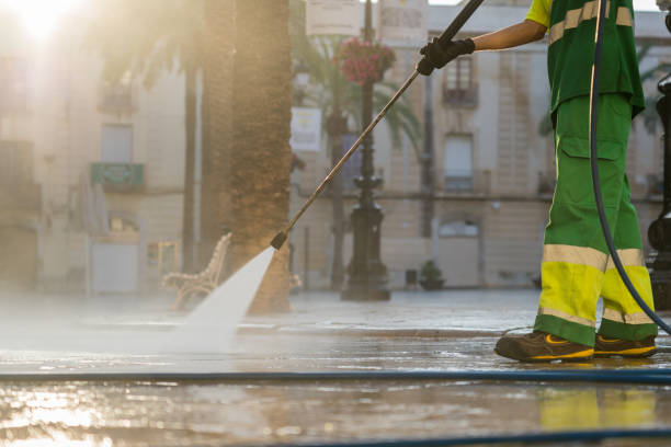 Professional  Pressure Washing Services in Cheswold, DE